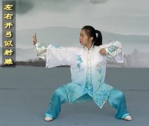 左右开弓似射雕