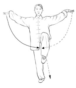 鸟飞