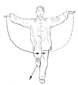 鸟飞